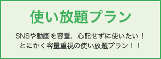 使い放題プラン SNSや動画を容量心配せずに使いたい！とにかく容量重視の使い放題プラン！！